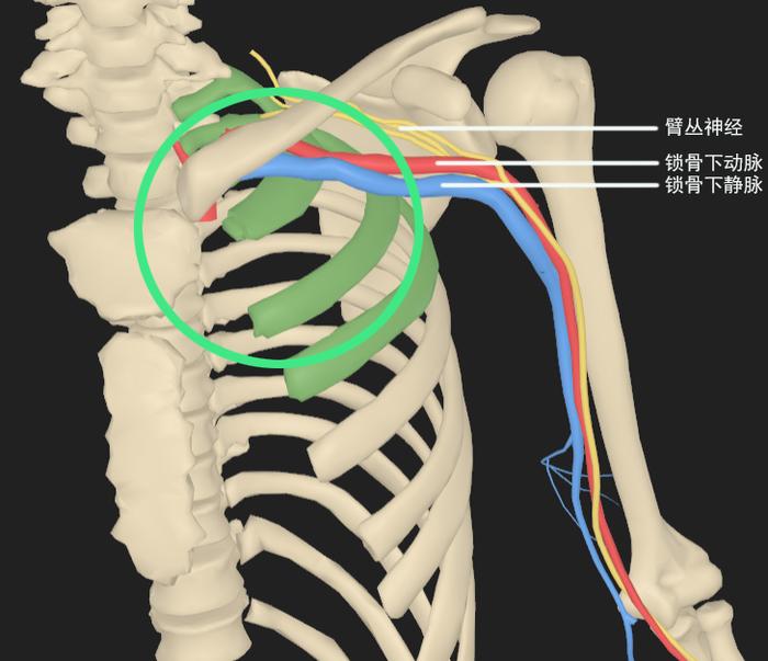 医学人文| 恶性骨肿瘤凶险侵犯多学科协作妙手排雷_手机新浪网