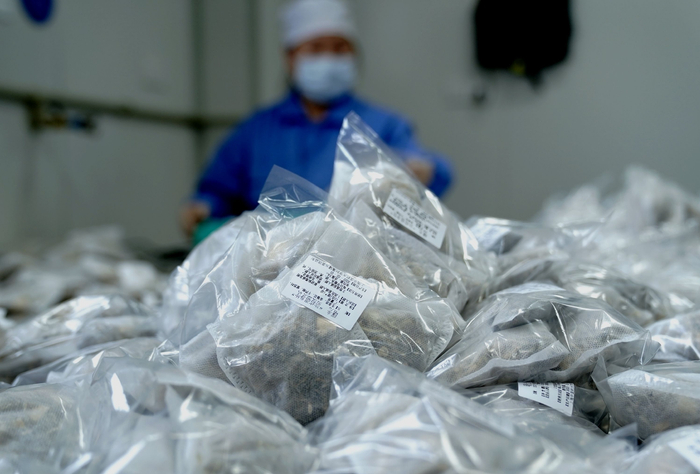 （中药企业生产现场一隅 图片来源：新华社）