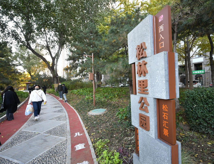 松林里公园。新京报记者 王贵彬 摄