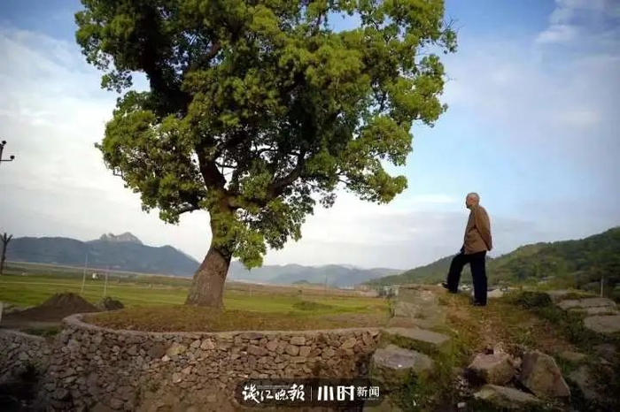 　2008年，韩老回到家乡象山。