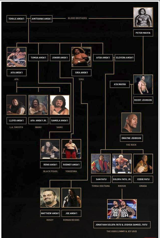 道恩·强森、罗曼·雷恩斯这一大家子是萨摩亚家族中的“阿诺伊家族”。&nbsp; 社交媒体截图