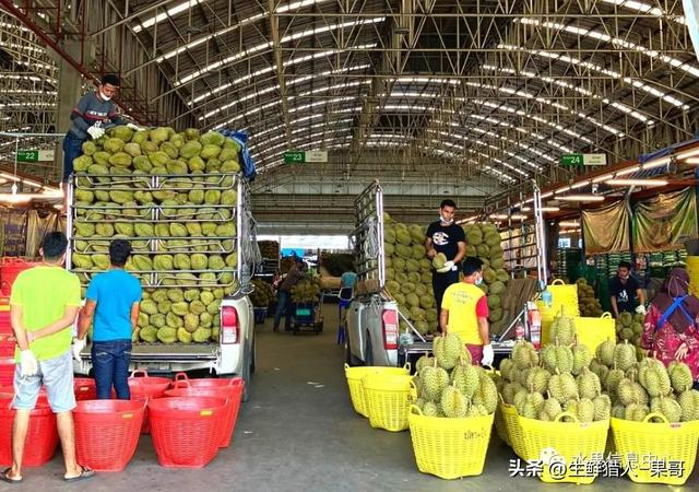 国外十大著名果蔬批发市场|法国|交易市场|农产品|丰洲|费城_新浪新闻
