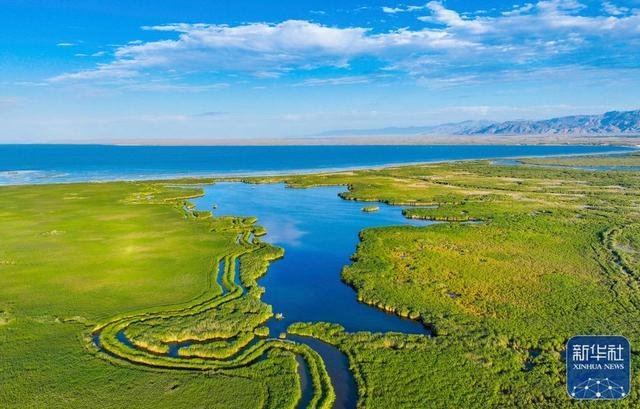 ↑新疆博斯腾湖国家湿地公园夏季景色（2022年8月27日摄，无人机照片）。新华社发（年磊 摄）