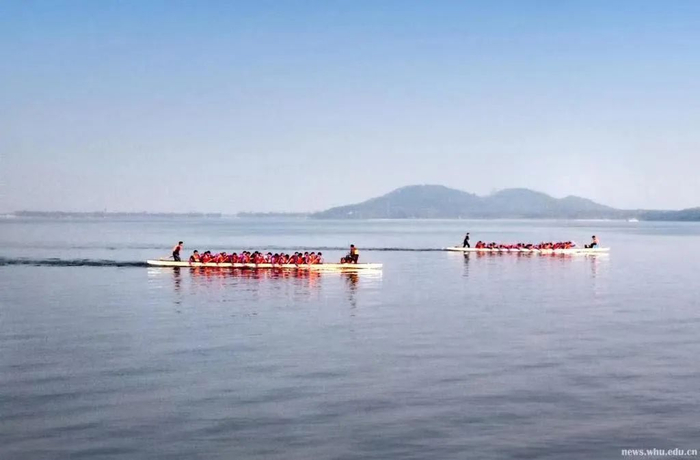 武汉大学龙舟队在东湖练习 图源：武汉大学新闻网