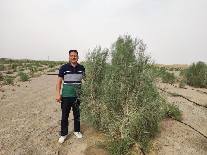 赵加海与沙拐枣。受访者供图