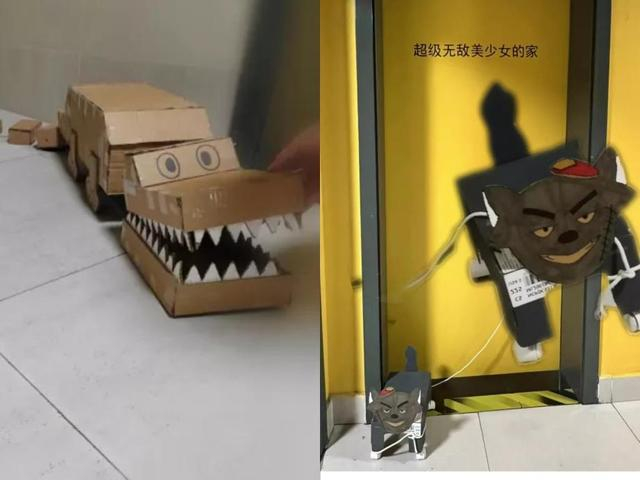 同济大学同学晒出宿舍养的“鳄鱼”与“灰太狼”。图片源自网络