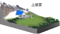 【地理拓展】地理视角看各种雾!昼雾阴、夜雾晴!关于“雾”的知识,搞懂了吗?