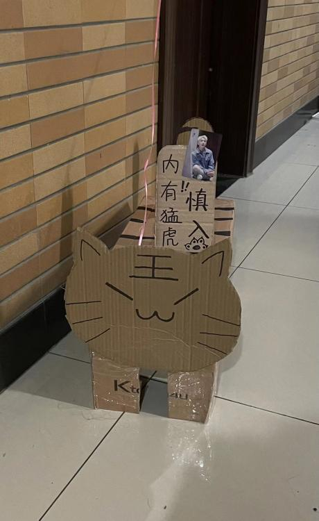 陆思桦的“小老虎咪咪”。受访者供图