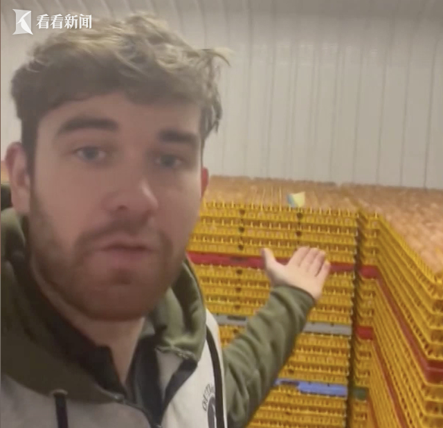 视频｜禽流感叠加通胀 英国消费者年底遭遇“鸡蛋荒”-禽流感的症状与治疗方案