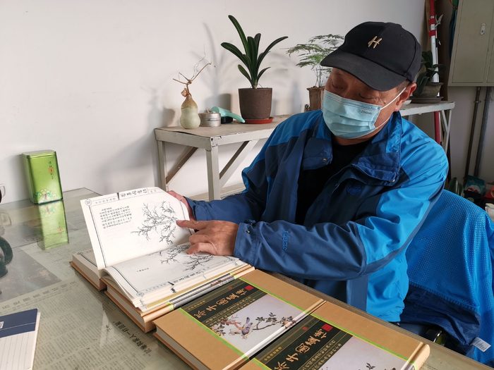 杜劲松翻阅《芥子园画谱》，从中寻找灵感。新京报记者 张璐 摄