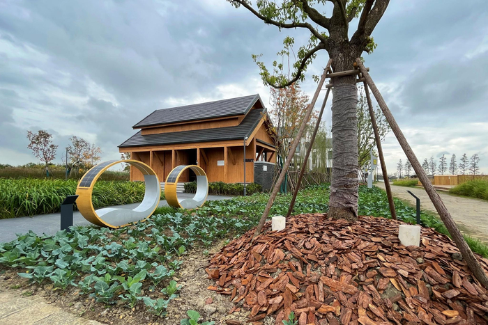 图为“竹小汇”零碳聚落一角。邹臻杰/摄