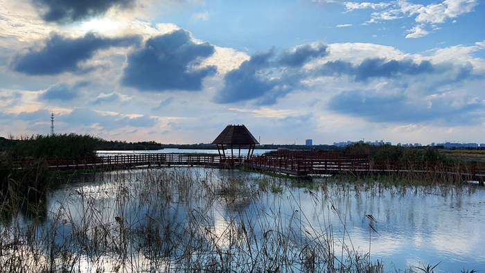 图为水乡客厅蓝环工程先导段。 邹臻杰/摄