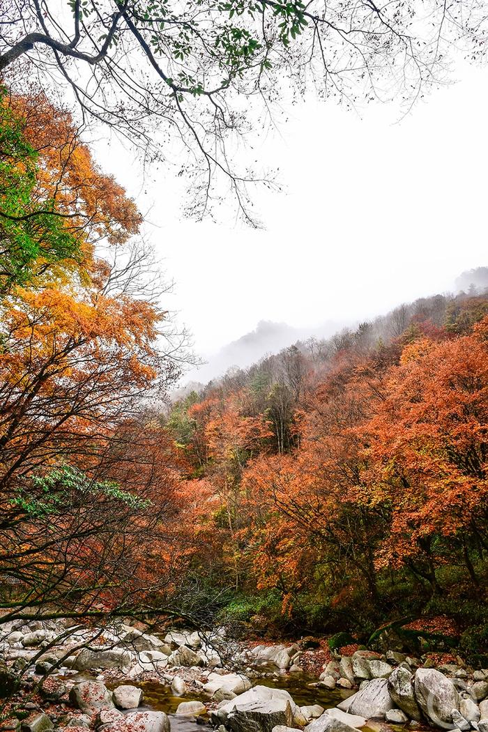 《雨后早晨》 陈飞华 摄