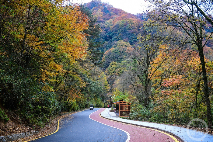 《路》 陈飞华 摄