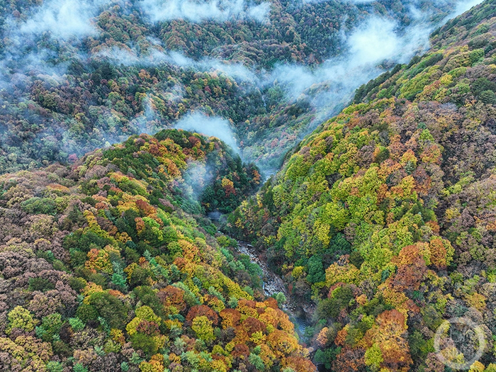 《雾》 陈飞华 摄