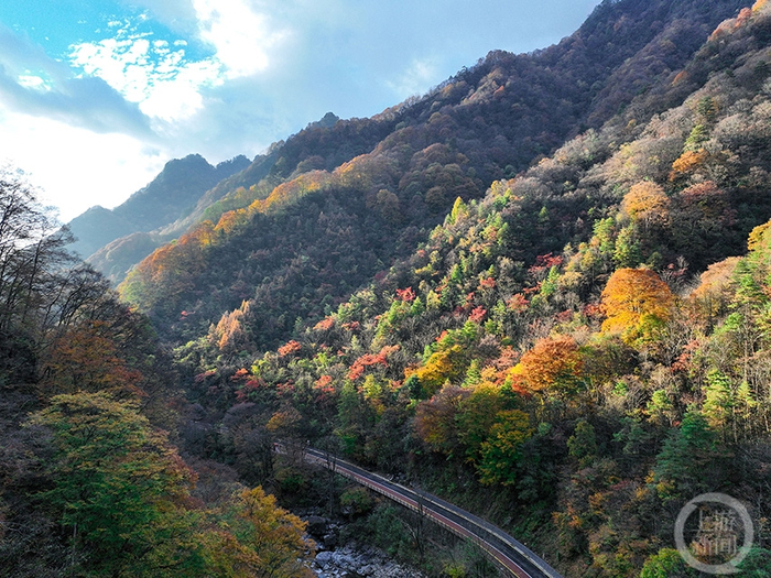 《夕阳》 陈飞华 摄