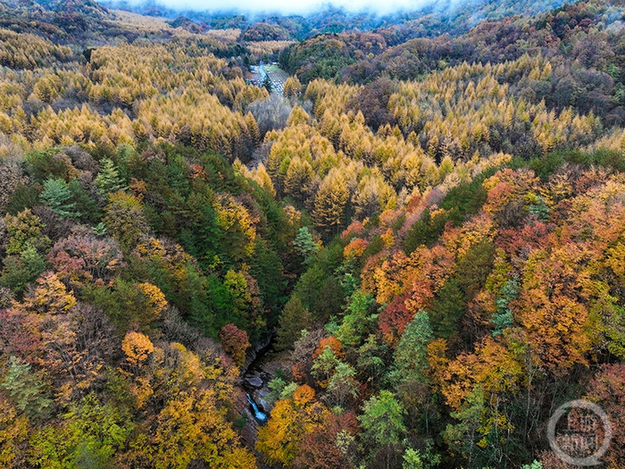 《远山》 陈飞华 摄