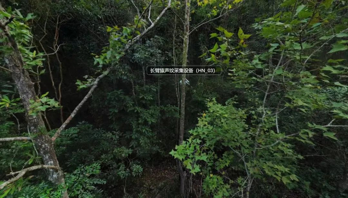 长臂猿声纹采集设备