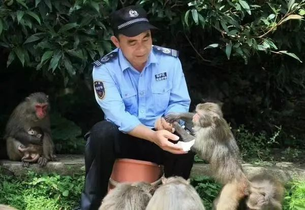 ▲2018年5月，刘清伟在担杆岛喂猕猴。受访者供图