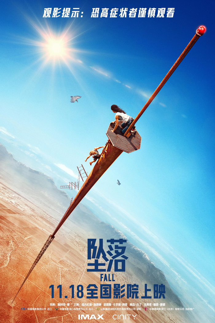 《坠落》海报。