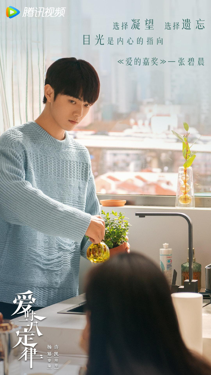 《爱的嘉奖》歌词海报。