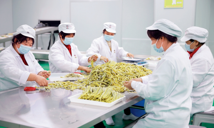 　　工人在湖南沅江市一家芦笋食品公司加工芦笋（2021年3月15日摄） 盛拥军摄 / 本刊