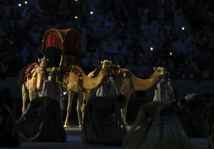 ▲开幕式现场。新华社记者 李明 摄