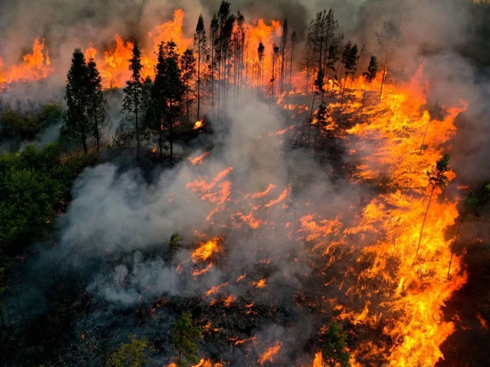 阿坝支队的消防员将大火挡在西源村400多户民房前面