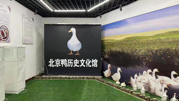 日前，首个北京鸭历史文化馆落户顺义区前鲁鸭场。新京报记者 曹晶瑞 摄