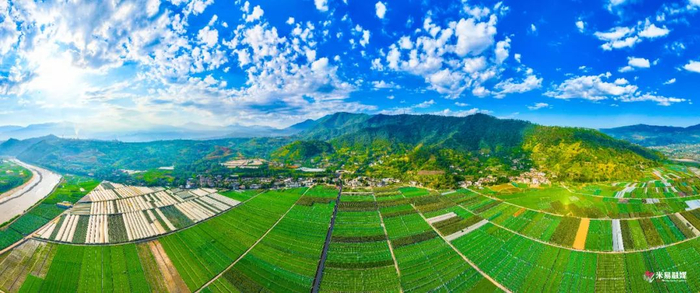 攀枝花米易县。图源米易融媒