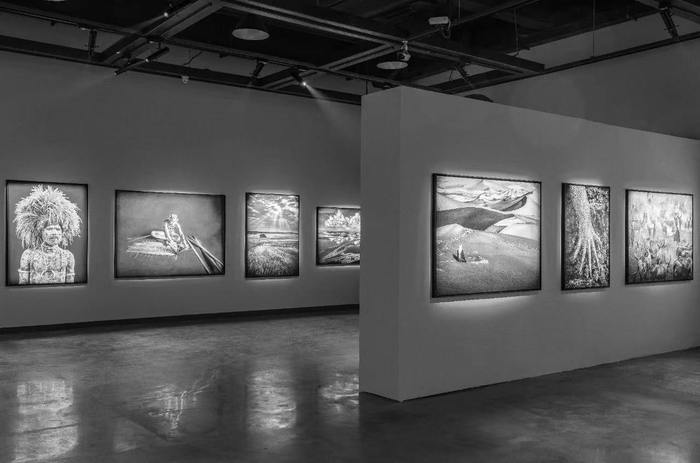 《塞巴斯提奥·萨尔加多》展览现场，2019