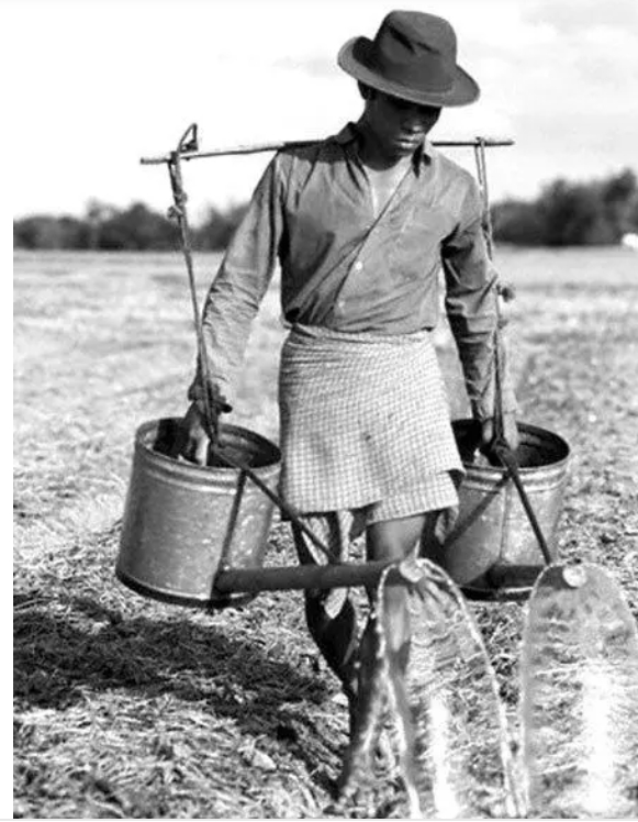 卡塔尔早期农业