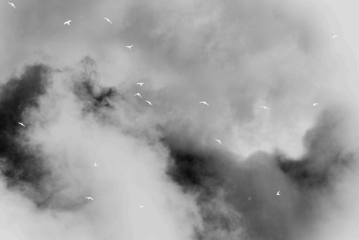 陈萧伊，《横截面：群动》，2021年。艺术微喷，80 X 120cm。图片由艺术家和千高原艺术中心提供。