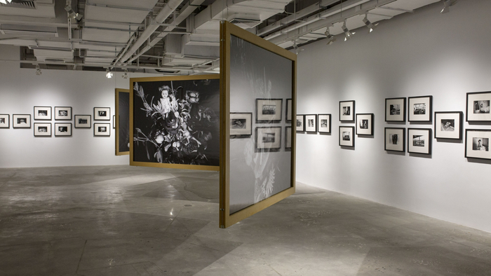 2017年，三影堂展览（厦门）