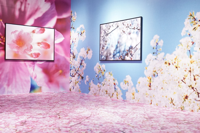 2016年，三影堂展览（厦门）