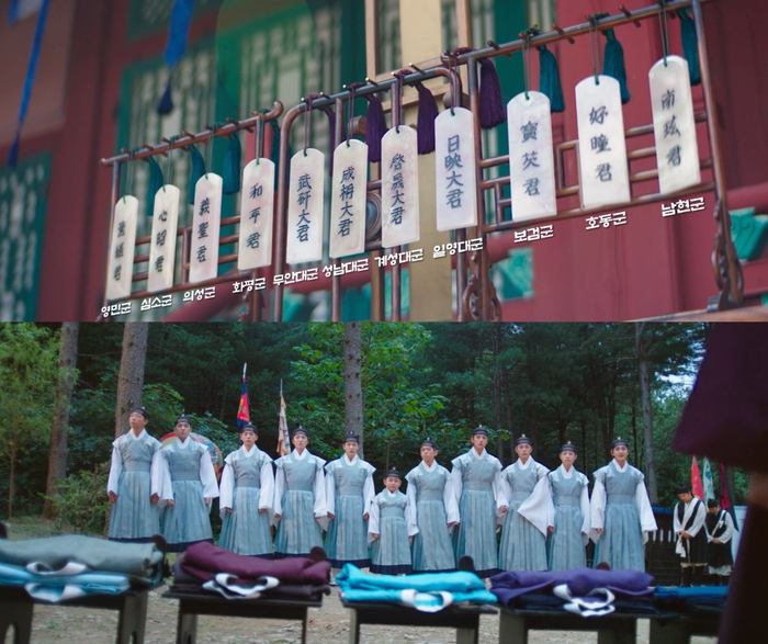 十一个王子参与夺嫡