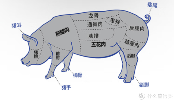 我是懂吃猪的!吃猪攻略大公开,猪肉不同部位及最佳吃法,统统都告诉你__财经头条__新浪财经