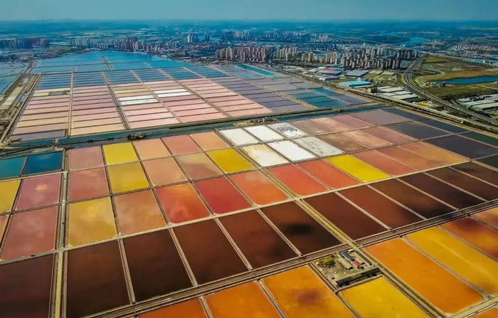       资料图：长芦汉沽盐场     