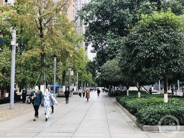 ▲大渡口区九宫庙商圈步行街，外出散步的居民逐渐增多。上游新闻记者 秦健