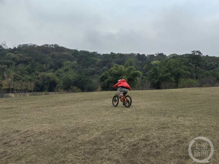 ▲12月2日下午，照母山森林公园里，小朋友在草坪上骑单车。上游新闻记者 陈竹
