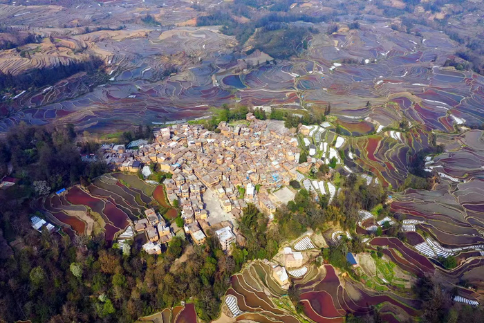 层层叠叠的千年哈尼梯田孕育着世世代代的哈尼族人。元阳县融媒体中心供图