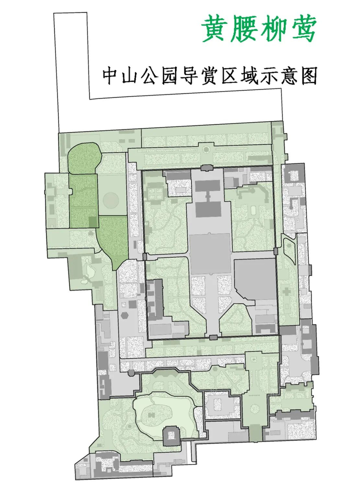 在中山公园什么时候能见到