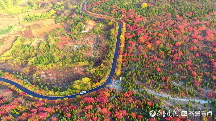 10万余亩多彩森林,枣庄环城绿道成为生态文明建设靓丽名片|枣庄市