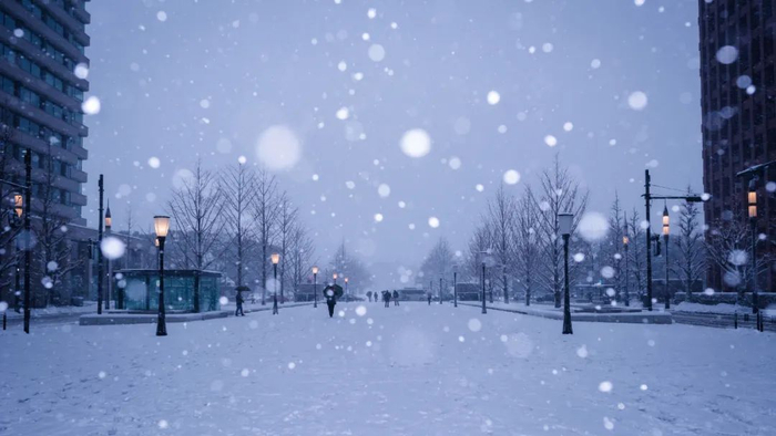 （图片来自网络）