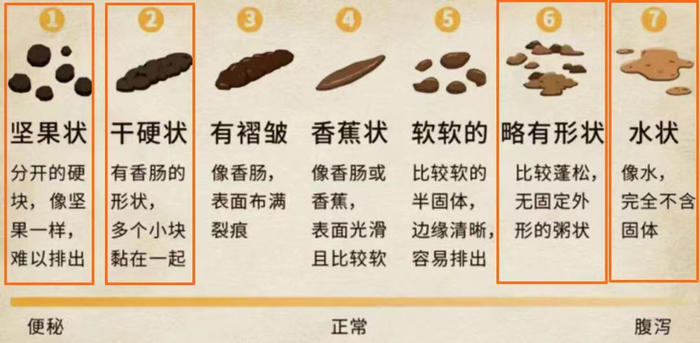 大便一粒粒的、爱粘马桶、变细软?这几种情况切不可大意!调养方法请收好
