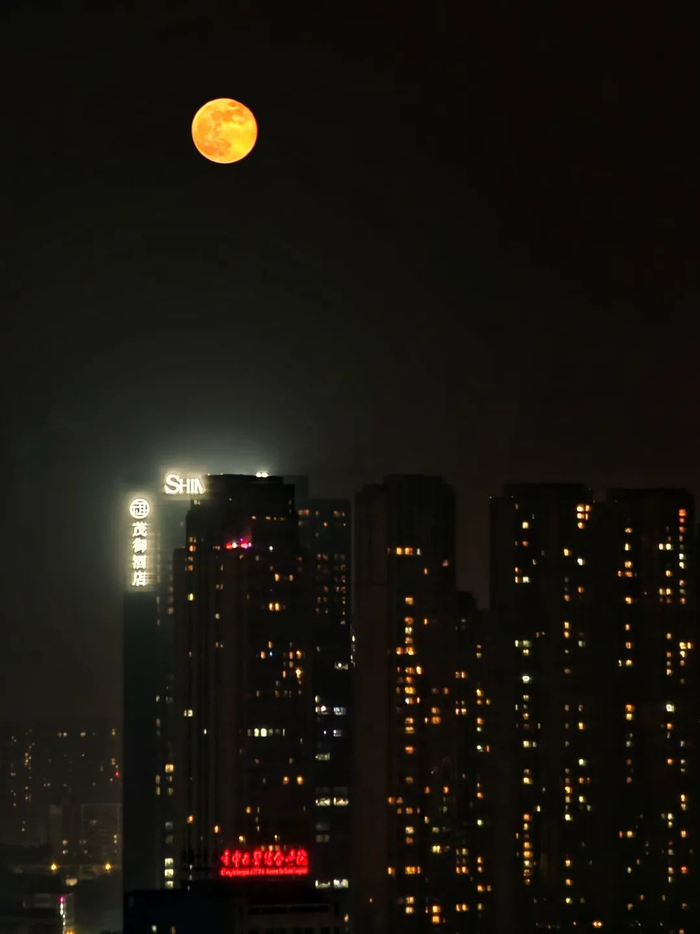 摄影：不高级伴读书童