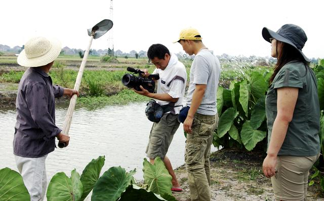 《舌尖上的中国》拍摄垛田芋头（右一杨晓清）李松筠摄