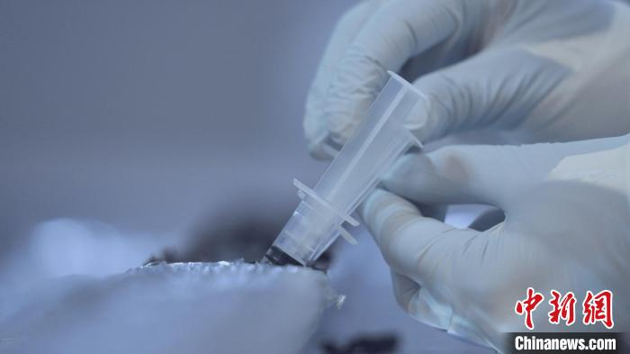 国际最新研究！利用古DNA重建200万年前生态系统|DNA|论文|生态系统_新浪新闻