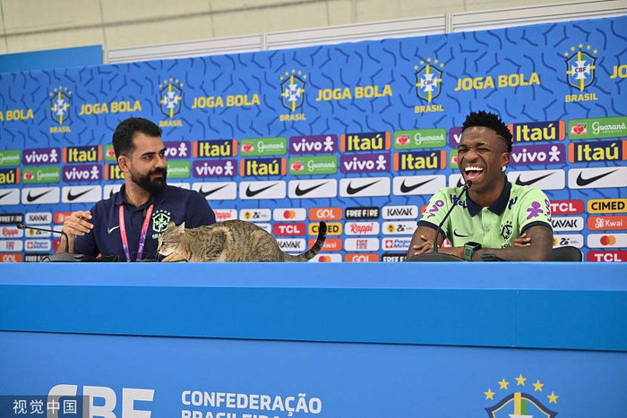 巴西队发布会来了一只猫咪。