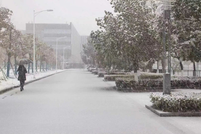 2019年下半年，周启习惯在学校附近的道路上散步，直到身体在走路时热起来。受访者供图